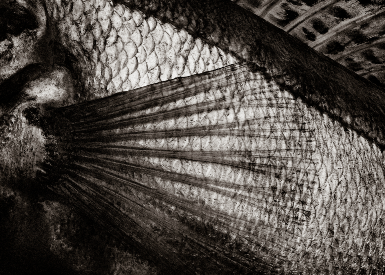 Menu Boulevard kahdelle / for two 174 €